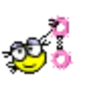 Stika