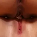 Samolepka