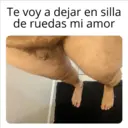 Stika